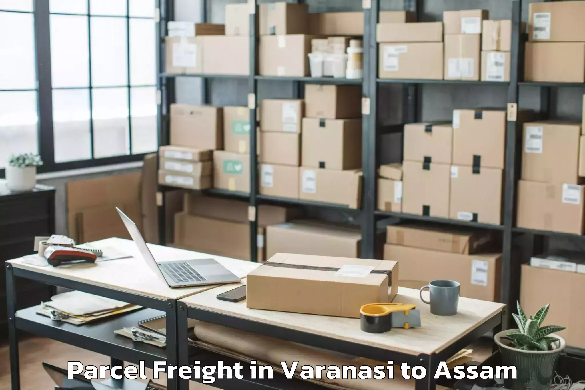 Top Varanasi to Silapathar Parcel Freight Available